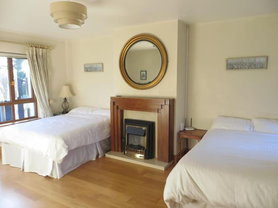 Borodino Studio Apartment Enniscorthy Exterior photo