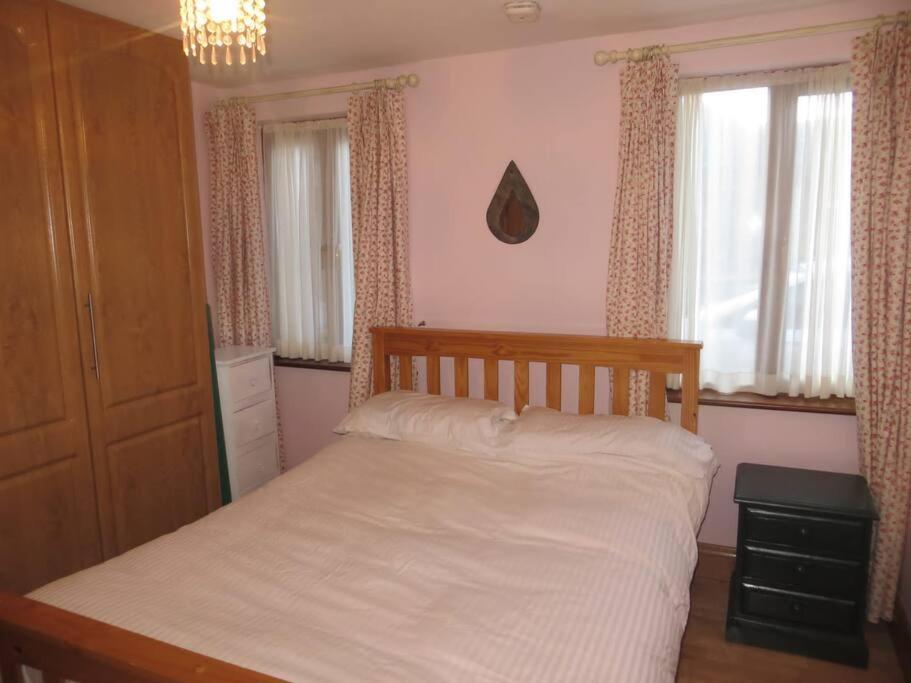Borodino Studio Apartment Enniscorthy Exterior photo